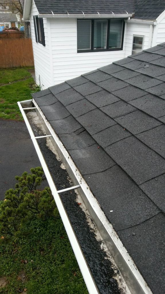 Roof Cleaning Services